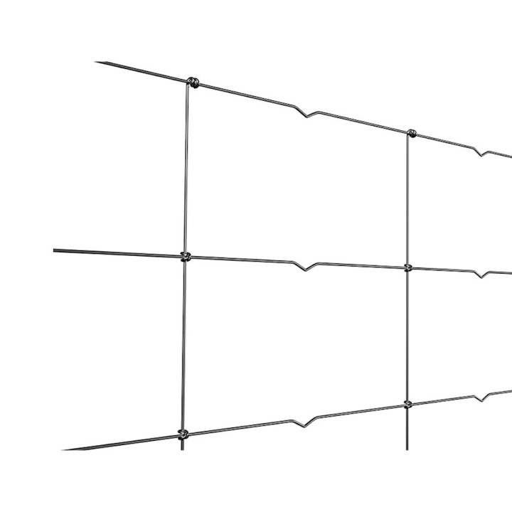 copy of 